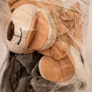 A Pair of 2 Puppet Friends Bear and Raccoon Plush and Soft Mouths Move